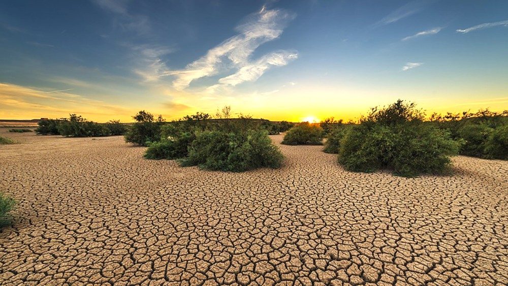 Sequía en México: Causas, consecuencias y acciones para mitigarla